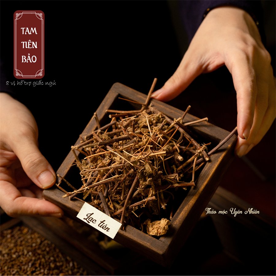 Lạc tiên — làm dịu, bớt trằn trọc