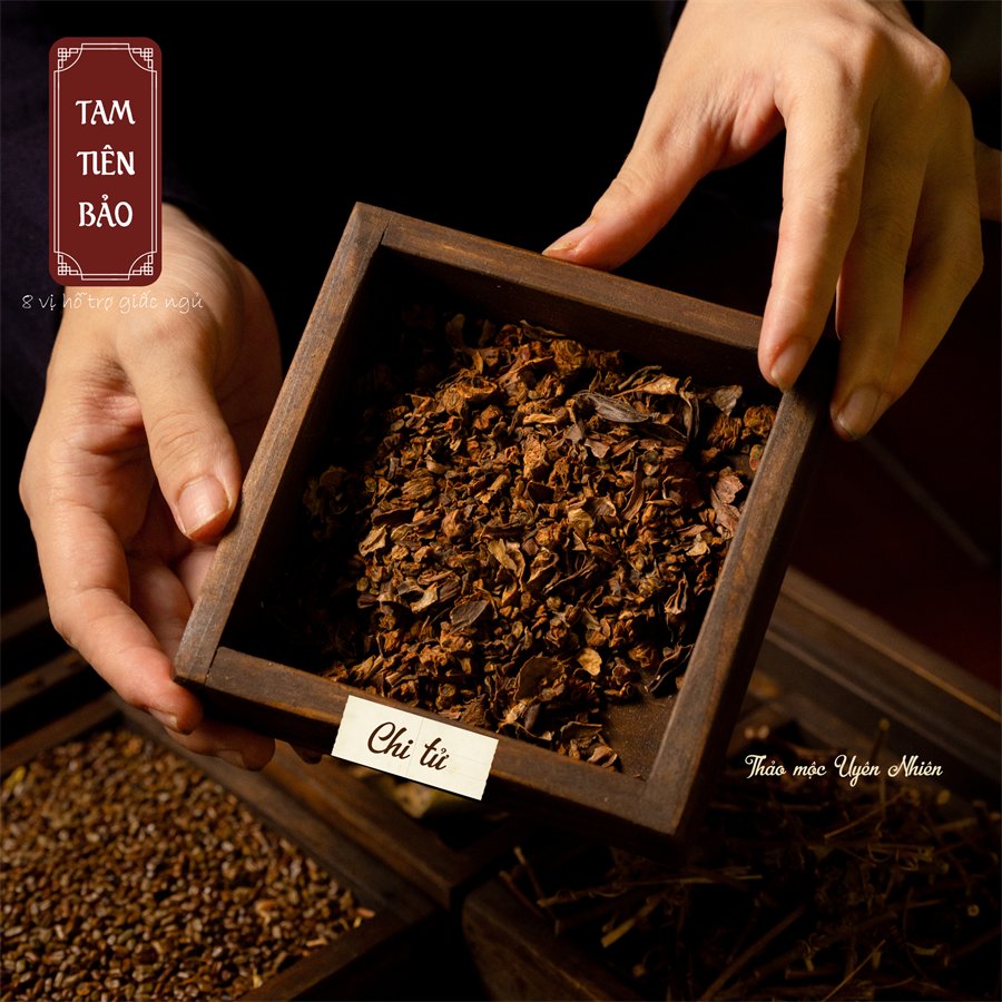 Chi tử — thanh nhiệt trừ phiền